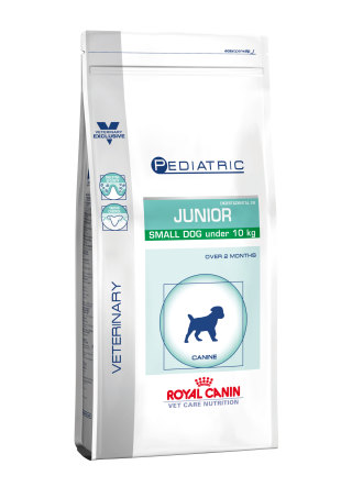Pediatric junior small dog